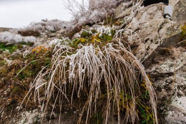 Deva, alacakaranlıkta eski ortaçağ kalesi 