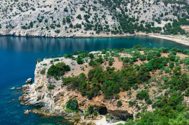 büyüme ile kıyı kayaçların doğal görünümü