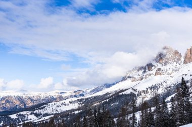 Karlı ağaçlar şaşırtıcı Doğa Manzaralı