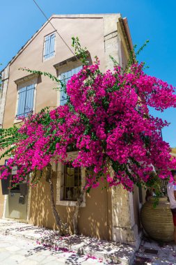 pembe çiçek açan ağaç evi parlak güneş ışığı altında tarafından