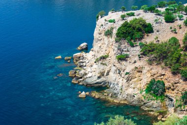 büyüme ile kıyı kayaçların doğal görünümü