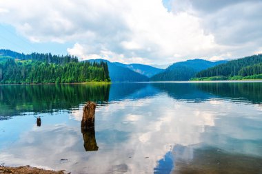 Nehir ve yeşil ağaçlar etrafında Awesome doğa görünümü