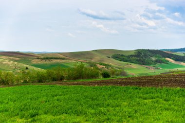 Yaz gününde inanılmaz manzara