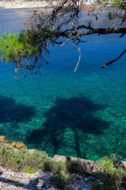 yaz doğa manzaralı 