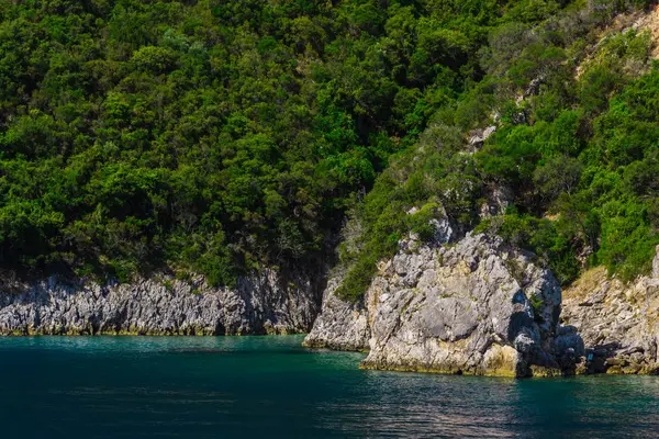 Fascinante Vista Naturaleza Montaña Con Vegetación Túnel —  Fotos de Stock