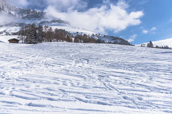 Increíble Vista Naturaleza Con Árboles Nevados —  Fotos de Stock