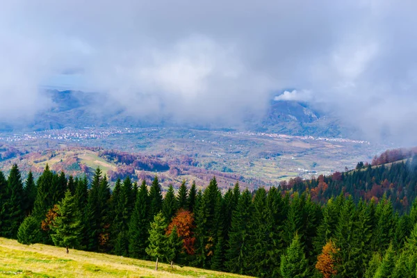 Niesamowity Widok Natura Drzew Pochmurnego Nieba Tło — Zdjęcie stockowe