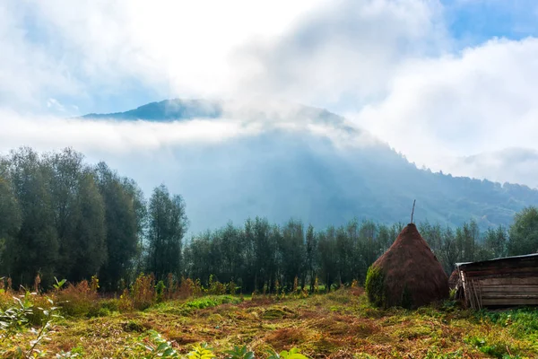 Prachtig Uitzicht Van Natuur Met Bewolkte Hemelachtergrond — Stockfoto