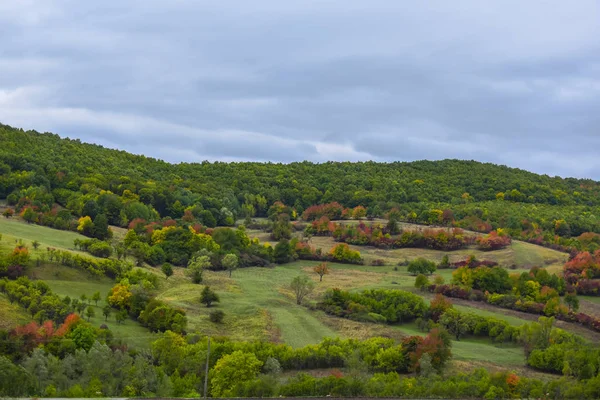 Vue Panoramique Sur Paysage Vallonné Couvert Verdure Luxuriante — Photo