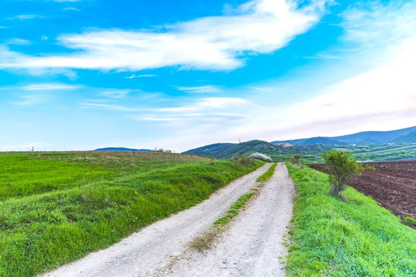 Prachtig Uitzicht Van Natuur Met Bewolkte Hemelachtergrond — Stockfoto