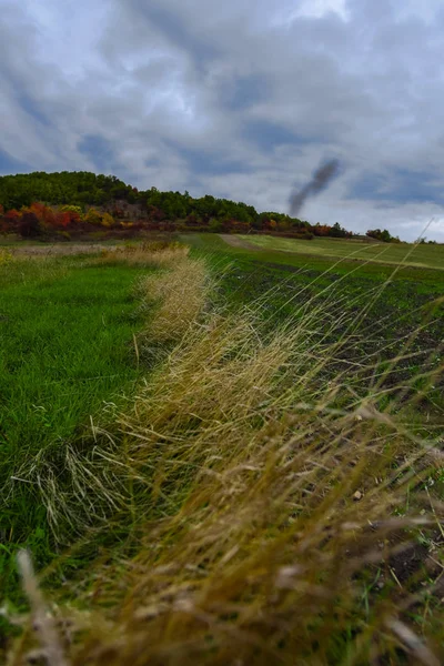 rainy grey sky above green grass in countryside meadow landscape