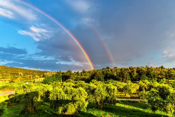 Rainbow above beautiful forest