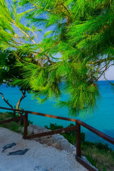 Incredibile Vista Naturale Del Verde Sullo Sfondo Dell Oceano — Foto Stock