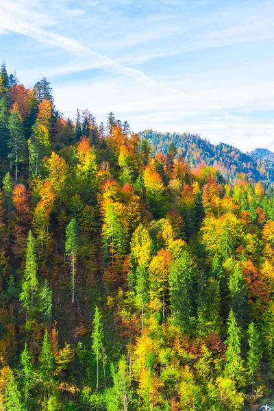 Increíble Naturaleza Con Árboles Coloridos Alrededor —  Fotos de Stock