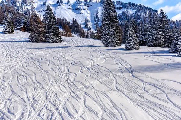Fantastisk Natur Visa Med Snöiga Träd — Stockfoto