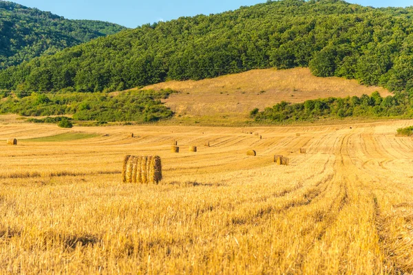 Mező Szalmakazlak — Stock Fotó