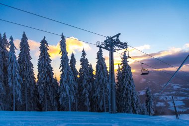 Çam ağaçları ve bulutlu gökyüzü arka plan şaşırtıcı doğa manzaralı