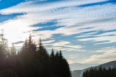 Ağaçlar ve bulutlu gökyüzü arka plan şaşırtıcı doğa manzaralı