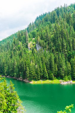 Büyüleyici doğal mavi deniz manzaralı 