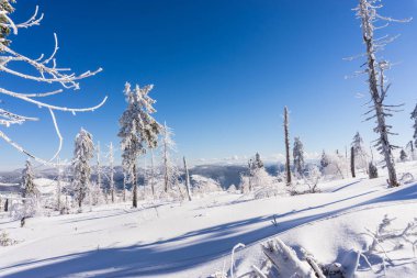 Şaşırtıcı doğa manzaralı karlı ağaçlar ve bulutlu gökyüzü arka plan