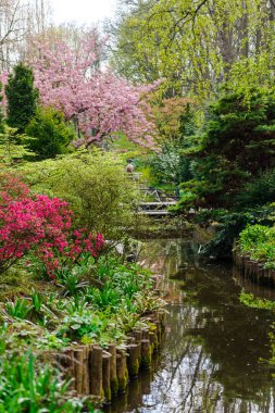 Yeşil ve renkli ağaçlar şaşırtıcı doğa manzaralı