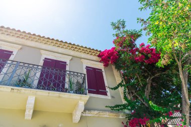 pembe çiçek açan ağaç evi parlak güneş ışığı altında tarafından