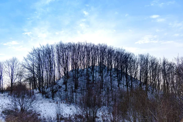 Vista Incrível Montanha Coberta Com Neve Fofa Árvores — Fotografia de Stock