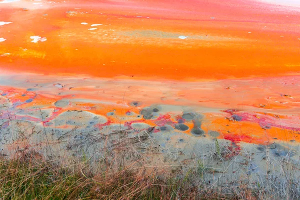 Vista Impressionante Natureza Com Laranja Colorido Rio Árvores Verdes Redor — Fotografia de Stock