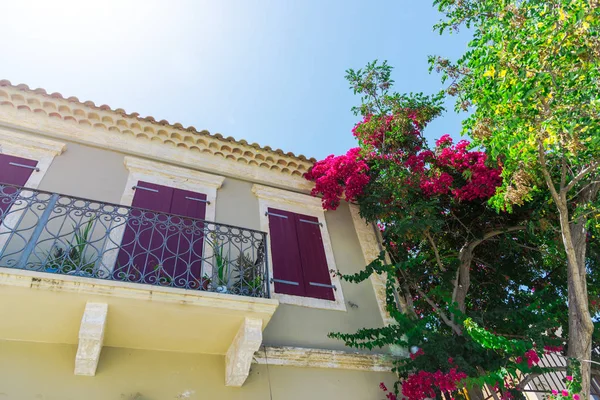 Roze Bloeiende Boom Door Het Balkon Van Het Huis — Stockfoto