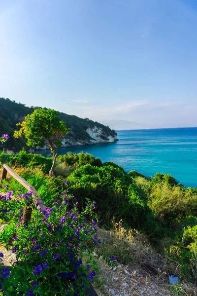 Vista Fascinante Natureza Com Lagoa Azul — Fotografia de Stock