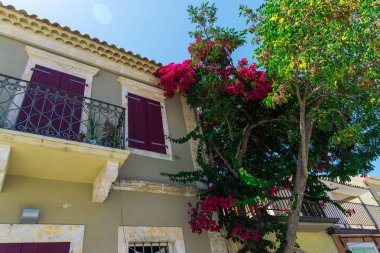 pembe çiçek açan ağaç evi parlak güneş ışığı altında tarafından