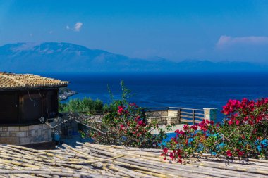 Arka planda güzel deniz manzarası ile Çiçekler