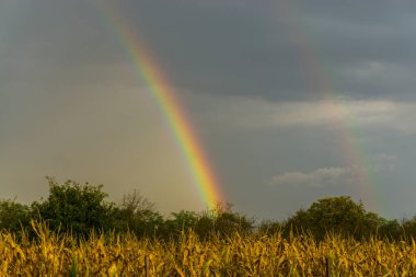 İlkbaharda güzel gökkuşağı