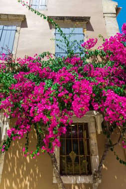 pembe çiçek açan ağaç evi parlak güneş ışığı altında tarafından