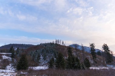 Kabarık kar ve ağaçlarla kaplı inanılmaz dağ manzarası