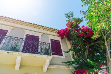 pembe çiçek açan ağaç evi parlak güneş ışığı altında tarafından