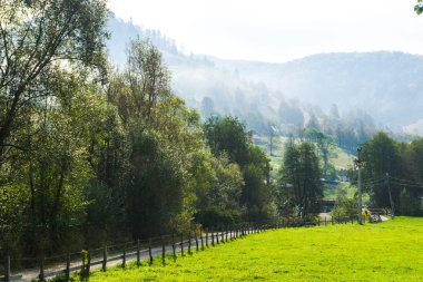 Sisli yaylaile muhteşem doğa manzarası