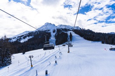 Yüksek ağaçlar ile Amazing dağ manzarası