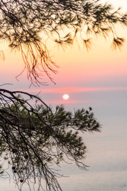 Ağaçların arkasında sıcak deniz ile şaşırtıcı günbatımı