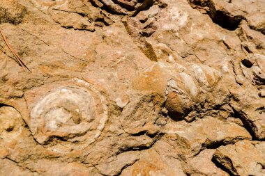 Sıkı dokulu duvar kaydırma ile kafa