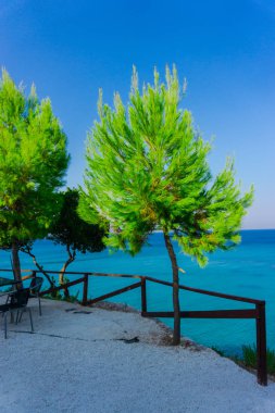 Okyanus arka planda yeşilliklerin inanılmaz doğal görünümü