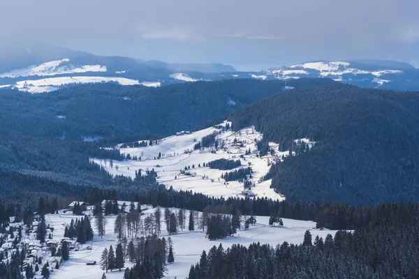 Prachtig Uitzicht Van Natuur Met Besneeuwde Bomen — Stockfoto