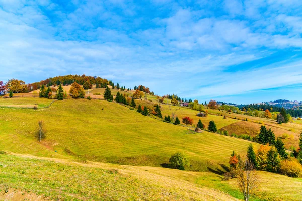 Erstaunliche Natur Mit Bunten Bäumen Ringsum — Stockfoto