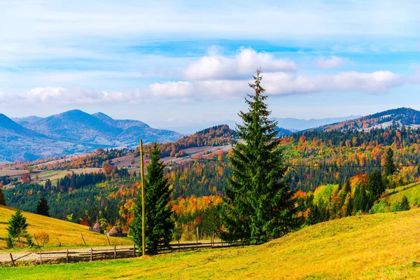 Erstaunliche Natur Mit Bunten Bäumen Ringsum — Stockfoto