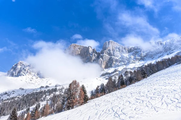 雪に覆われた木々 の素晴らしい自然の風景 — ストック写真