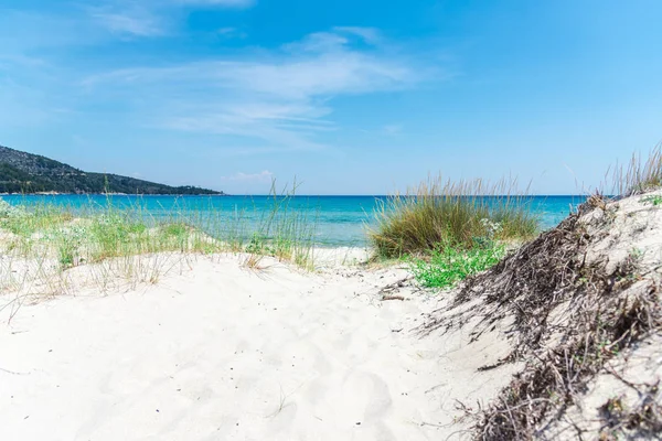 Zandstrand Met Groeiend Gras Oceaan Water — Stockfoto