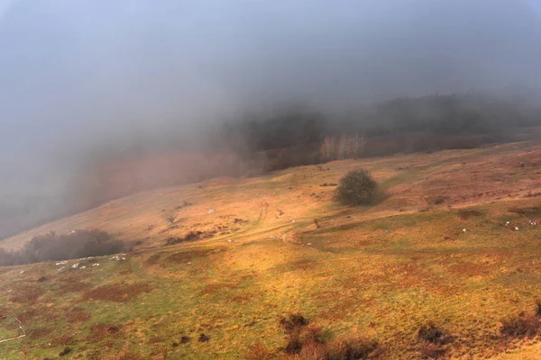 Paisagem Rural Nevoeiro Manhã Cedo Grama Amarela Marrom Colina — Fotografia de Stock