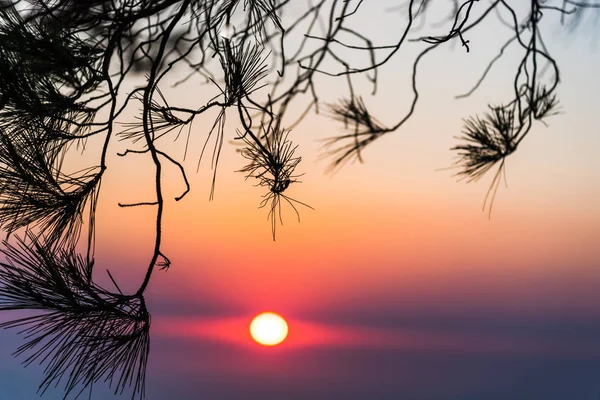 Belo Pôr Sol Natureza Vista Cênica — Fotografia de Stock