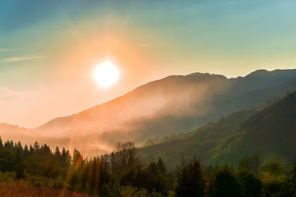 Ağaçlar ve gün batımı arka plan şaşırtıcı Doğa Manzaralı