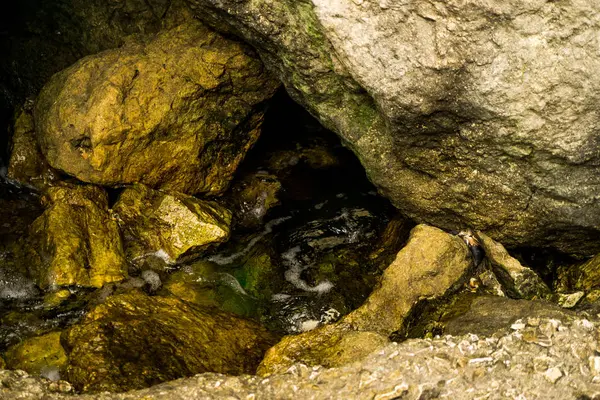 Roche Mousse Dans Forêt — Photo